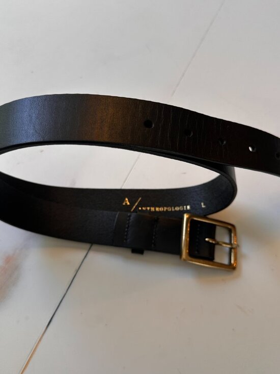 Anthropologie Black Leather and Gold/Brass Belt - Size Large main image 4